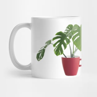 A Deliciosa cup of Monstera Mug